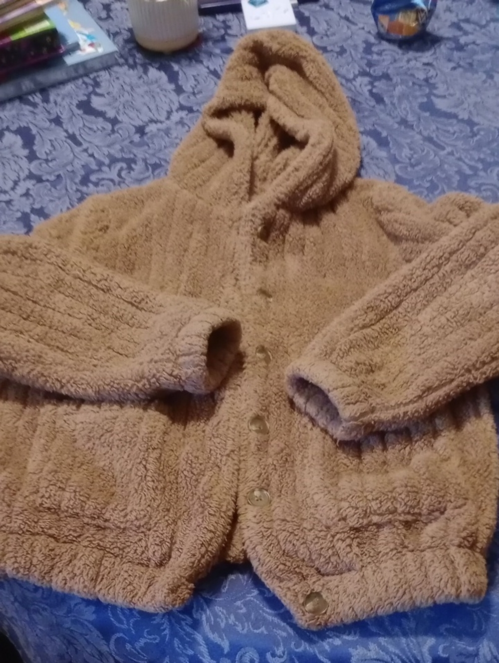 Cozy Hooded Teddy Jacket for Kids - Tan